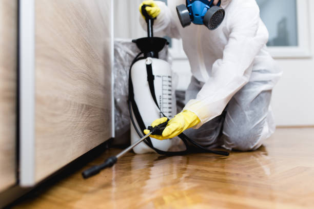 Best Pest Inspection Near Me  in Los Angeles, CA