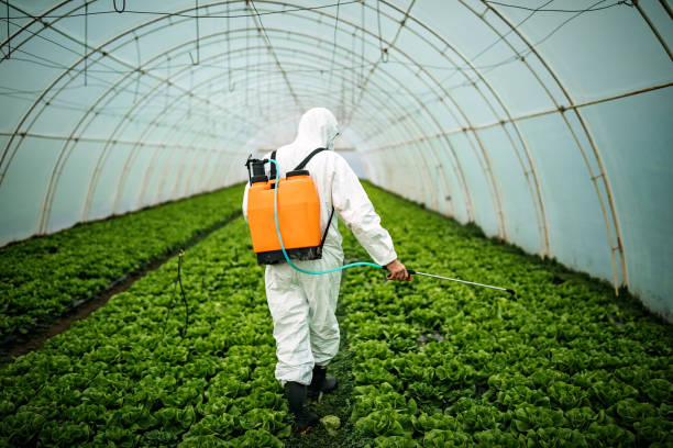Best Best Pest Control Companies  in Los Angeles, CA