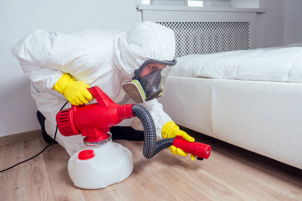 Best Termite Control Services  in Los Angeles, CA