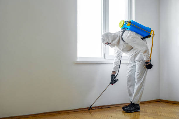 Best Wildlife Control Services  in Los Angeles, CA