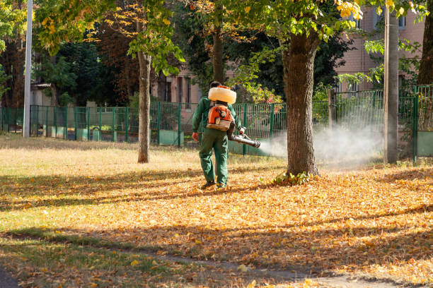 Trusted Los Angeles, CA Pest Control Experts