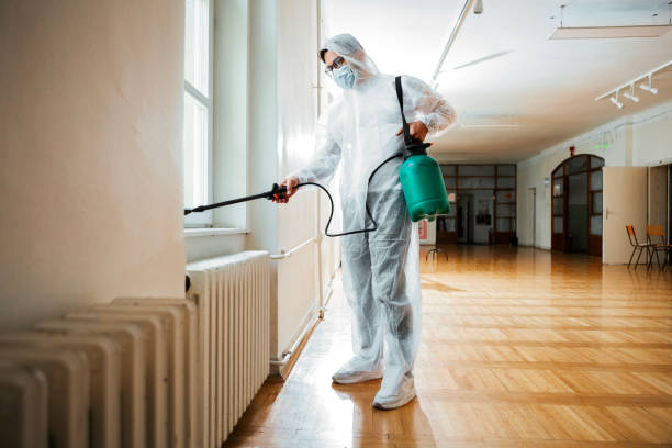 Best Affordable Pest Control Services  in Los Angeles, CA
