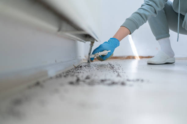 Pest Control for Restaurants in Los Angeles, CA