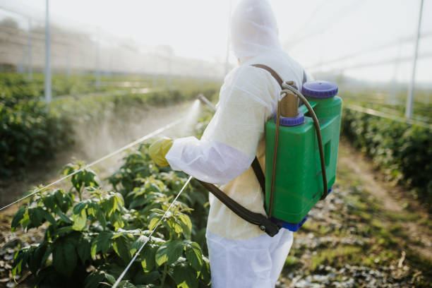 Best Emergency Pest Control  in Los Angeles, CA